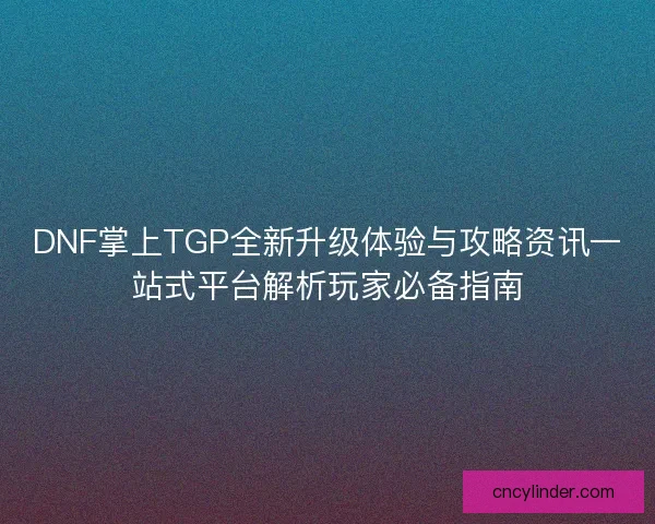 DNF掌上TGP全新升级体验与攻略资讯一站式平台解析玩家必备指南