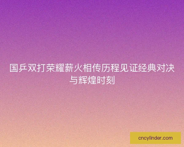 国乒双打荣耀薪火相传历程见证经典对决与辉煌时刻